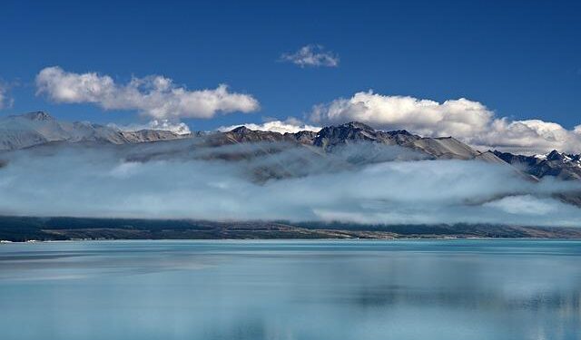 New Zealand fin min says RBNZ has ample room to lower interest rates if needed – Forexlive