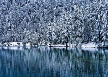 Five big news stories from Switzerland you need to catch up on this week – The Local Switzerland