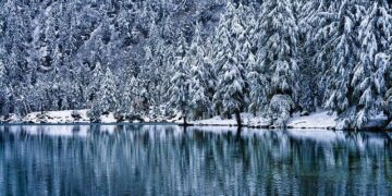 Five big news stories from Switzerland you need to catch up on this week – The Local Switzerland