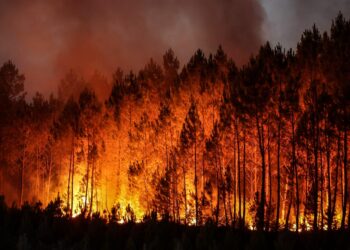 146 wildfires dealt with in three days Mourne Mountains – BBC