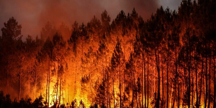 146 wildfires dealt with in three days Mourne Mountains – BBC