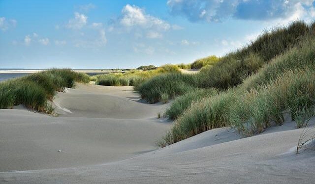 Netherlands: Internal selection for Eurovision 2026| Submission window to open on May 19! – eurovisionfun.com