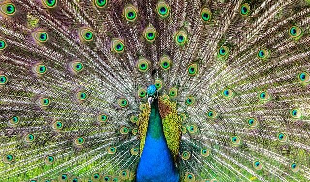 Tom Barrett ends tenure as U.S. ambassador to Luxembourg with future options open – Milwaukee Journal Sentinel