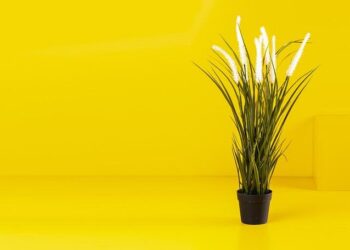 Belgian PM says he would ignore Netanyahu ICC arrest warrant, cites ‘realpolitik’ – The Jerusalem Post