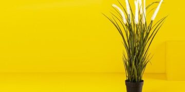 Belgian PM says he would ignore Netanyahu ICC arrest warrant, cites ‘realpolitik’ – The Jerusalem Post