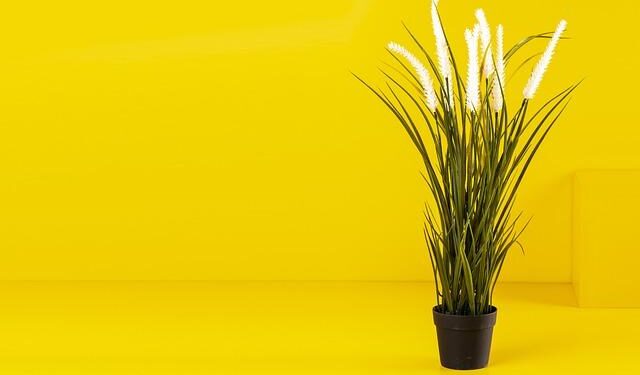 Belgian PM says he would ignore Netanyahu ICC arrest warrant, cites ‘realpolitik’ – The Jerusalem Post