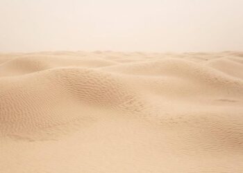 A Path Out of Tunisia’s Economic Crisis – Carnegie Endowment for International Peace