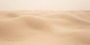 A Path Out of Tunisia’s Economic Crisis – Carnegie Endowment for International Peace