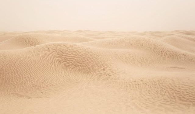 A Path Out of Tunisia’s Economic Crisis – Carnegie Endowment for International Peace