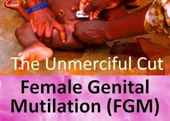 MPs in the Gambia vote to uphold ban on female genital mutilation – The Guardian