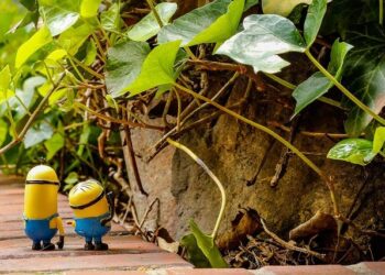 Kevin Dick Obituary (2024) – Wilmerding, PA – Alfieri Funeral Home, Inc. – Legacy.com