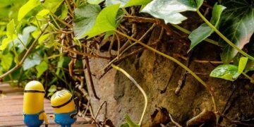 Kevin Dick Obituary (2024) – Wilmerding, PA – Alfieri Funeral Home, Inc. – Legacy.com