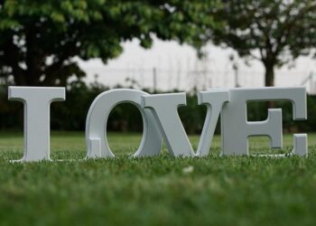 New Zealand’s controversial Treaty Principles Bill defeated in parliament as all but one party blocks its path forward – Australian Broadcasting Corporation