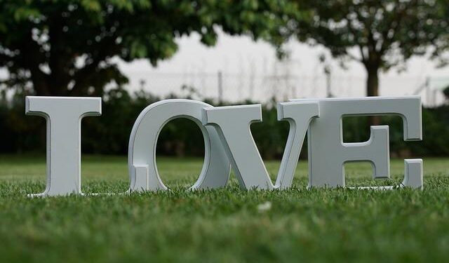 New Zealand’s controversial Treaty Principles Bill defeated in parliament as all but one party blocks its path forward – Australian Broadcasting Corporation