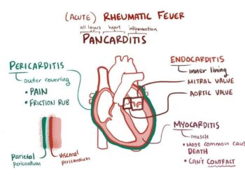Volunteers Screen for Rheumatic Heart Disease among Children in Micronesia – Adventist Review