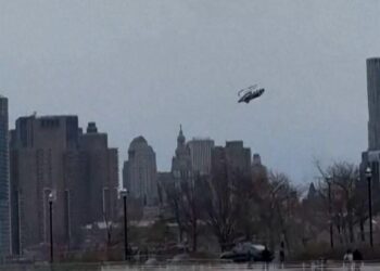 South Africa helicopter crash blamed on penguin in cardboard box that hit pilot’s controls – CBS News