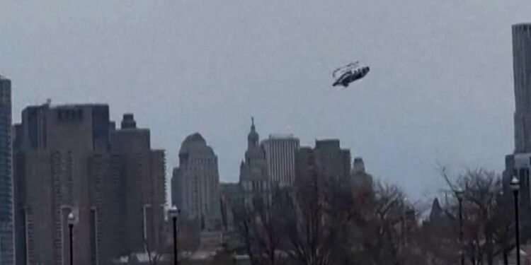 South Africa helicopter crash blamed on penguin in cardboard box that hit pilot’s controls – CBS News