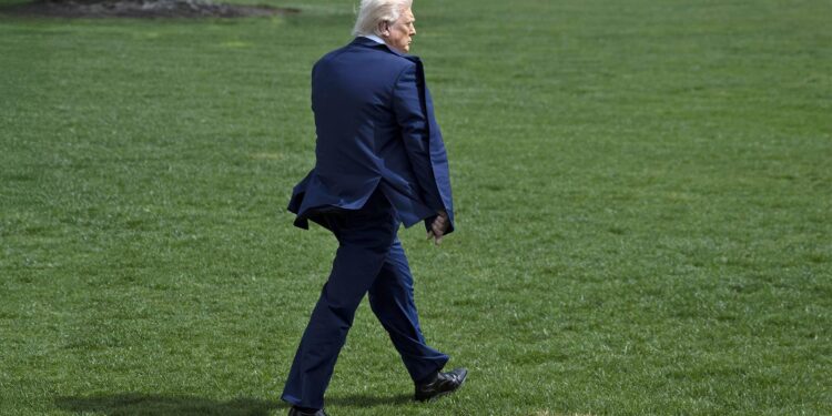 Trump’s supposed return of “masculinity” to the White House hasn’t worked out – MSNBC News