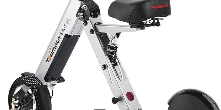 Electric tricycles are a ticket to respect and prosperity for some women in Zimbabwe – Shoreline Media Group