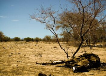 Namibia’s Drought Crisis: Building Resilience for Women and Girls – Welcome to the United Nations