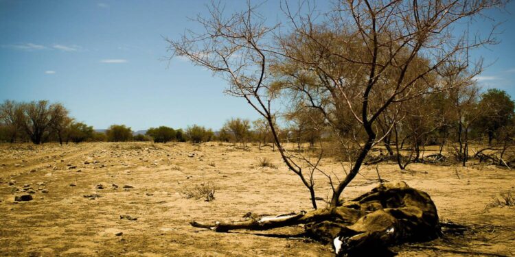 Namibia’s Drought Crisis: Building Resilience for Women and Girls – Welcome to the United Nations