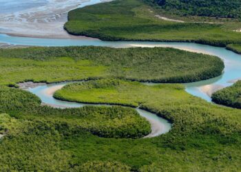 Guinea Bissau Human Capital Review – World Bank