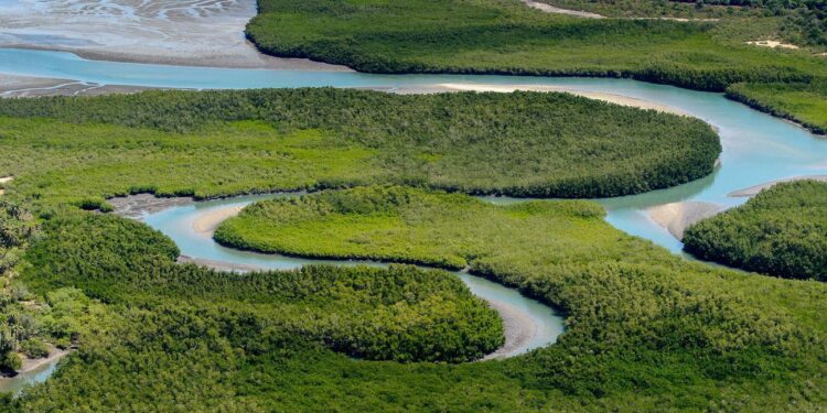 Guinea Bissau Human Capital Review – World Bank