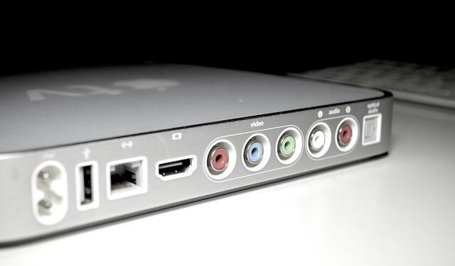 Apple TV : On Becoming a Guinea Fowl and violence in Zambia – Numéro Magazine