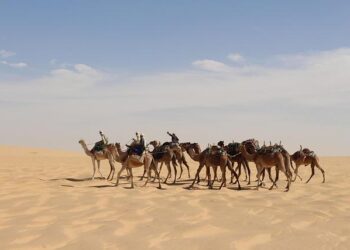 Chad Alan Reed Obituary March 6, 2025 – Wright Funeral Home and Cremation Service