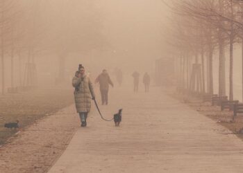 Putting people at the heart of climate solutions in the Central African Republic – World Bank Blogs