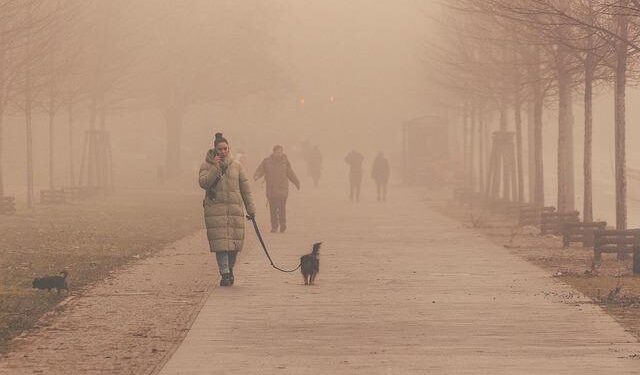 Putting people at the heart of climate solutions in the Central African Republic – World Bank Blogs