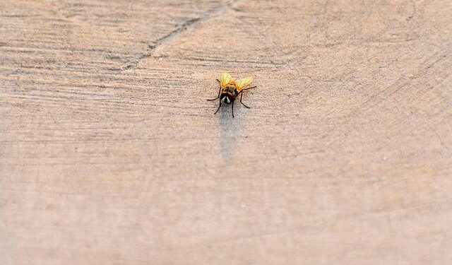 Cholera spreading across Angola, with more than 8,500 cases – CIDRAP