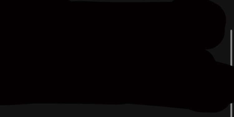 President Lai meets President Hilda C. Heine of the Marshall Islands and her cabinet-News releases-News & activities – Office of the President Republic of China(Taiwan)