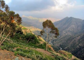 Eritrea: Washington’s Surprising Partner in Africa’s Most Unstable Corner – Modern Diplomacy