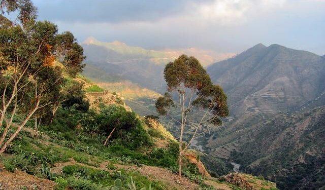 Eritrea: Washington’s Surprising Partner in Africa’s Most Unstable Corner – Modern Diplomacy