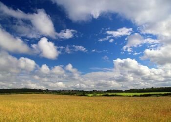 Galați County Council to build new 50-bed palliative care facility – Romania Insider