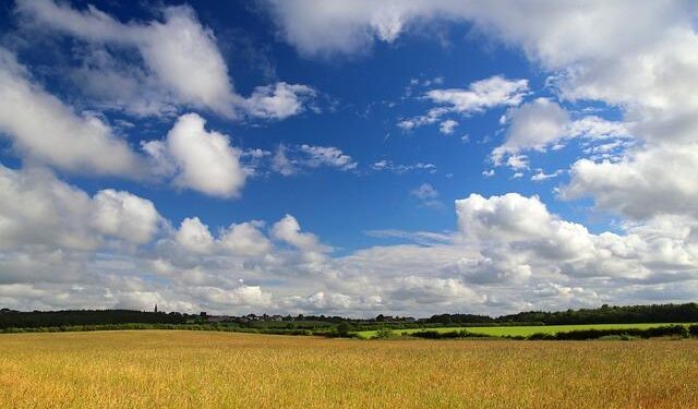 GalaÈ›i County Council to build new 50-bed palliative care facility – Romania Insider