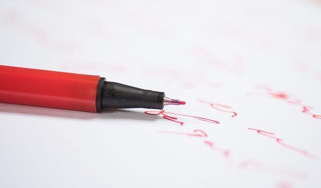 Marine Le Pen’s ‘Witch Hunt’ Talk Echoes Trump. Will It Work in France? – The New York Times