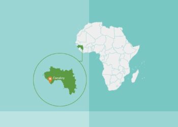 Guinea invites Nigerian businesses to invest in $20bn mega projects – Punch Newspapers