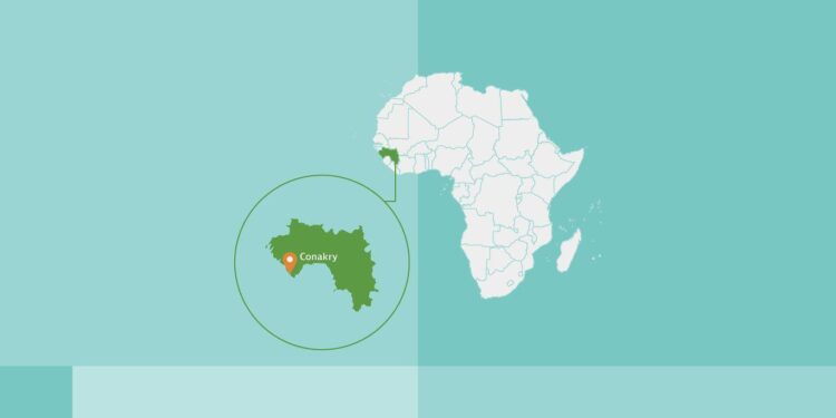 Guinea invites Nigerian businesses to invest in $20bn mega projects – Punch Newspapers