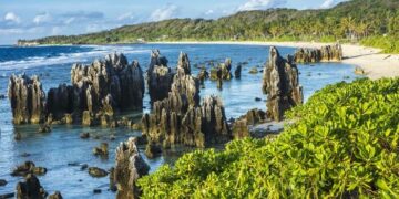 Nauru’s Diplomatic Shift Signals Increasing Chinese Dominance in the Indo-Pacific – Defense Security Monitor