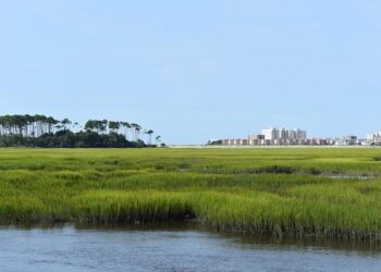 South Carolina woman wanted in murder investigation found in Netherlands – Fox News