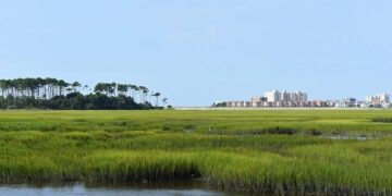 South Carolina woman wanted in murder investigation found in Netherlands – Fox News