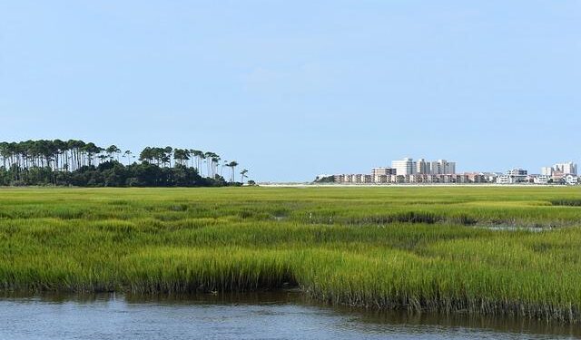 South Carolina woman wanted in murder investigation found in Netherlands – Fox News