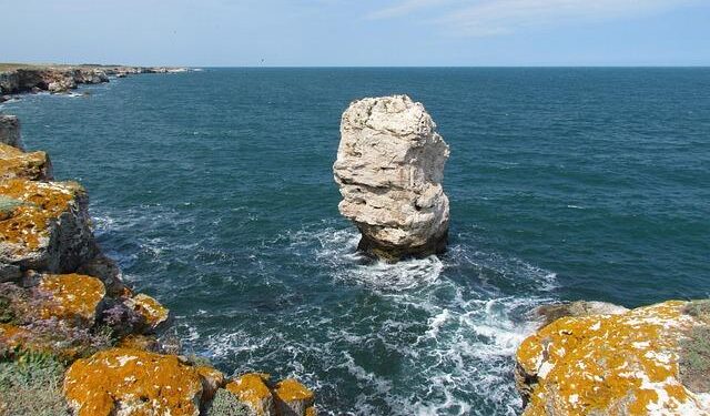 Clashes erupt as Bulgarian nationalists march against euro – DW