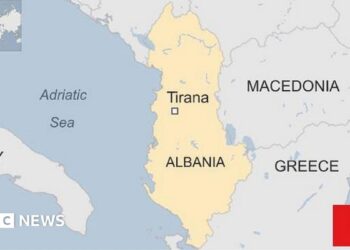 Albania’s Controversial TikTok Ban Still Not Fully Working – Balkan Insight