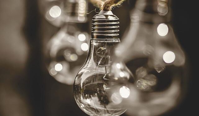 Strengthening policy engagement to boost agricultural innovation in Togo – CGIAR