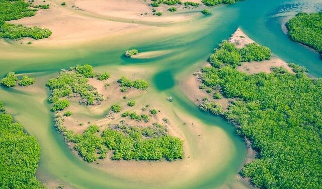 Senegal’s top court confirms ruling party’s big election win – DW