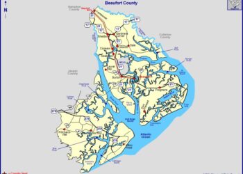 Beaufort County sheriff seeks help finding missing 17-year-old from Saint Helena – WCIV