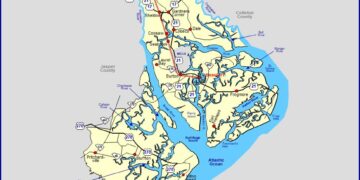 Beaufort County sheriff seeks help finding missing 17-year-old from Saint Helena – WCIV